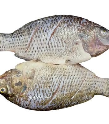 Fish & Seafood