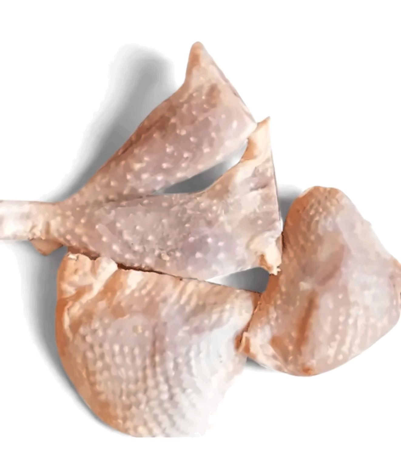 Chicken Parts