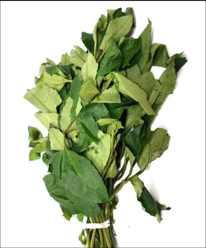 Fresh Ugu Leaves (Ugwu)