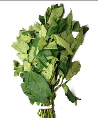 Fresh Ugu Leaves (Ugwu)