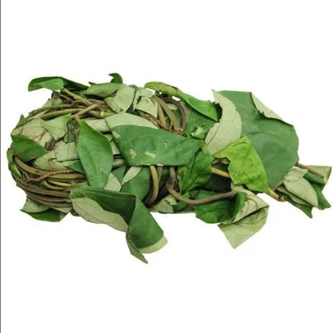 Fresh Oha Leaves Bunch