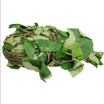 Fresh Oha Leaves Bunch