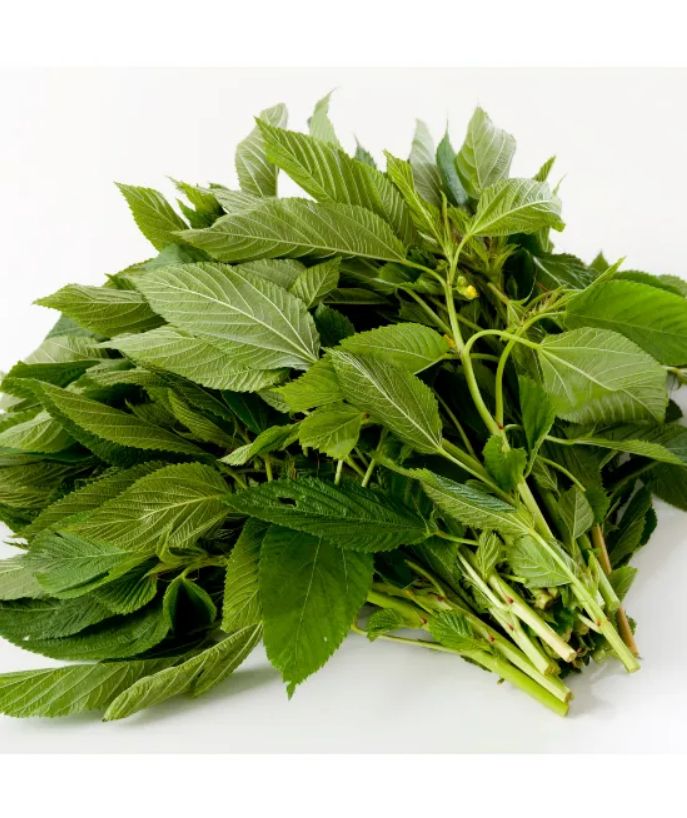 Fresh Ewedu Leaves (Jute Leaves)