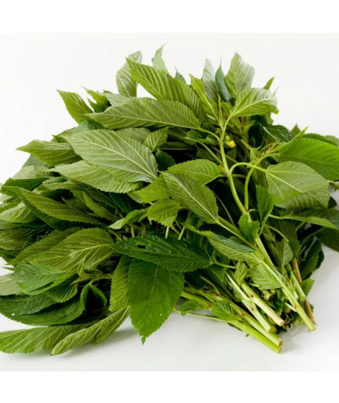Fresh Ewedu Leaves (Jute Leaves)