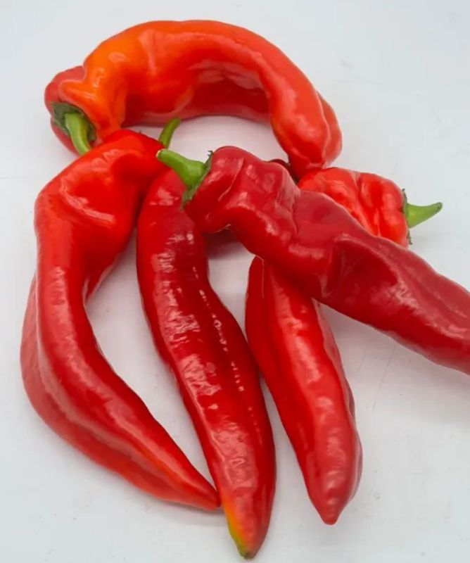 Fresh Bell Peppers (Tatashe) 500g