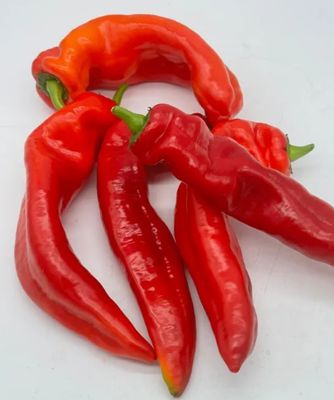 Fresh Bell Peppers (Tatashe) 500g