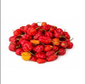 Fresh Scotch Bonnet Peppers (Rodo) 1kg