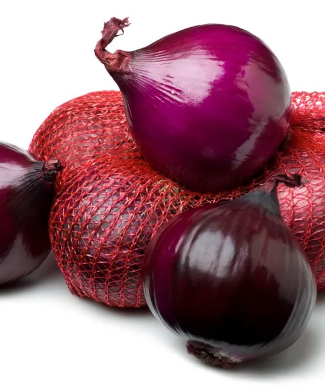 Red Onion Pack of 6
