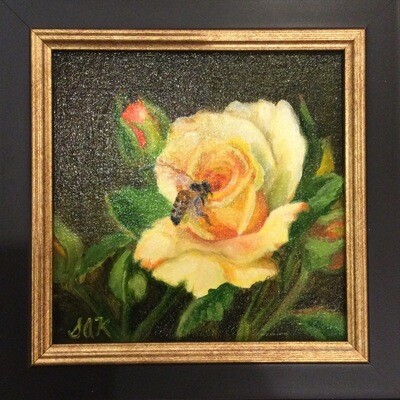 Texas Yellow Rose 6x6 Oil on Linen by Sonja A Kever Texas Yellow Rose 6x6 Oil on Linen by Sonja A Kever