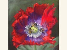 Three's Company 8x8 Oil Painting by Sonja A Kever Three's Company 8x8 Oil Painting by Sonja A Kever