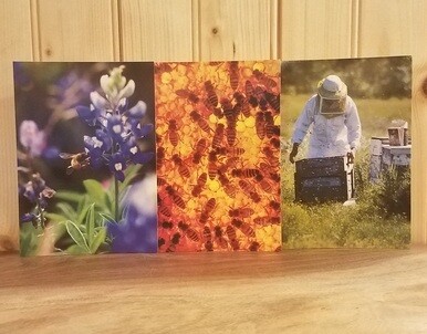 BeeWeaver Photo Cards