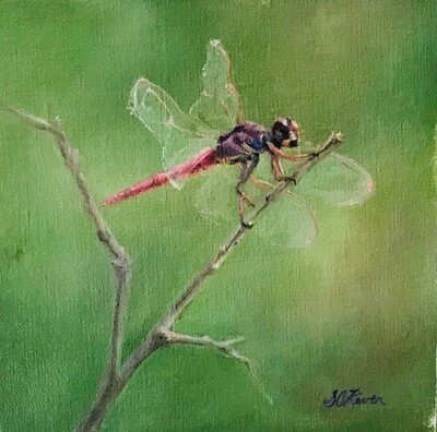 'Lighter Than Air' 8x8 Oil on Linen by Sonja A Kever 'Lighter Than Air' 8x8 Oil on Linen by Sonja A Kever