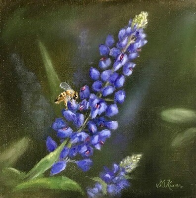 'Bee on a Bluebonnet' 8x8 Oil on Linen by Sonja A Kever 'Bee on a Bluebonnet' 8x8 Oil on Linen by Sonja A Kever