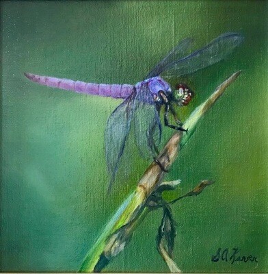 'Fantasy' 8x8 Oil on Canvas by Sonja A Kever 'Fantasy' 8x8 Oil on Canvas by Sonja A Kever