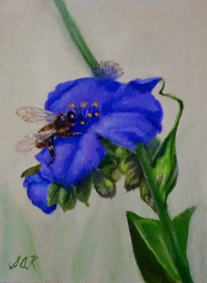 'Bee Kind' 8x6 Oil on Linen by Sonja A Kever