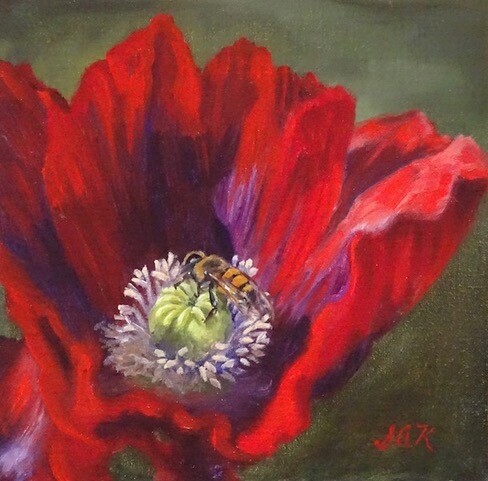 'Red Poppy and Bee' 8x8 Oil On Linen by Sonja A Kever
