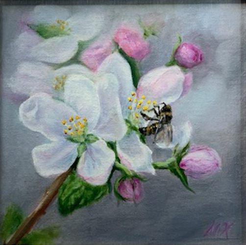 'Spring Blooms' 8x8 Oil on Linen by Sonja A Kever