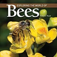 Exploring the World of Bees Book