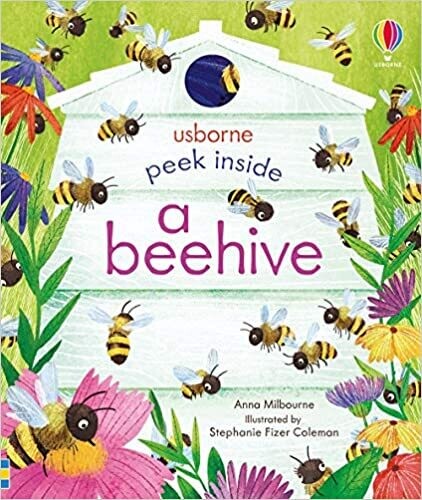 Peek Inside a Beehive Book