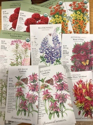 Annuals for the Garden