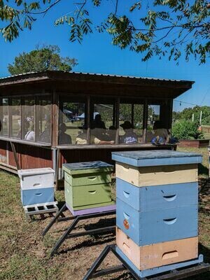 Field Trip Deposit - Bees, Honey, Chat, Craft