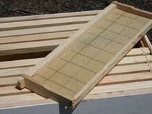 Box Of 10 Medium Beeswax Frames