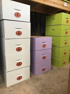Cypress Deep Hive Body Painted 10 frame (no frames)