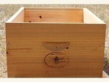Cypress Deep Hive Body Natural Wood 10 frame (no frames)