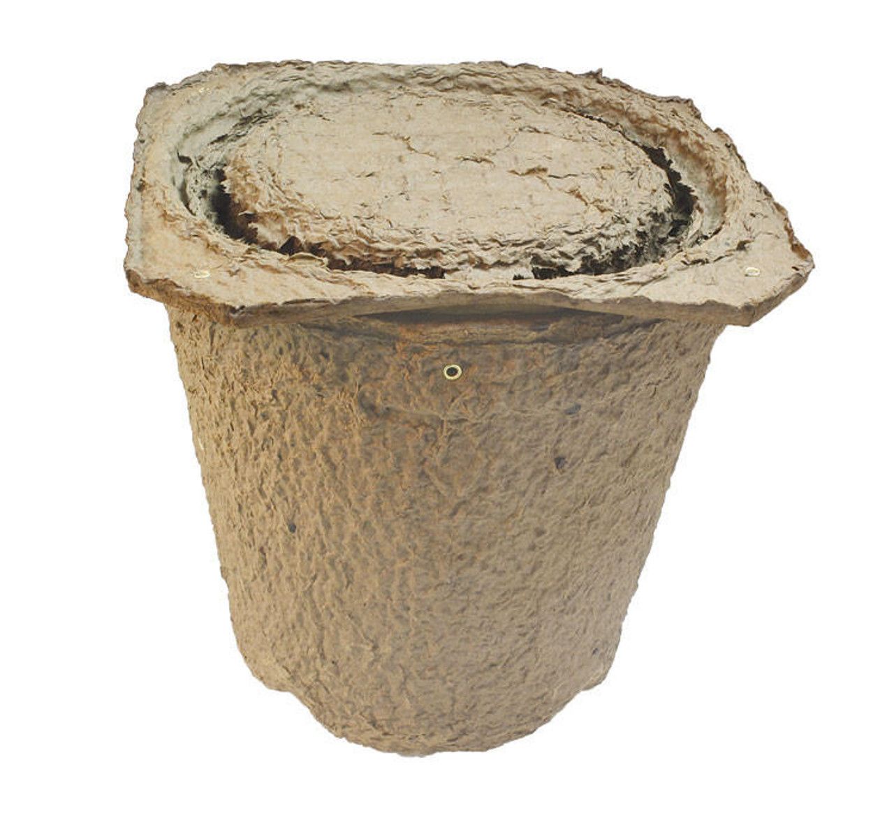 Swarm Trap