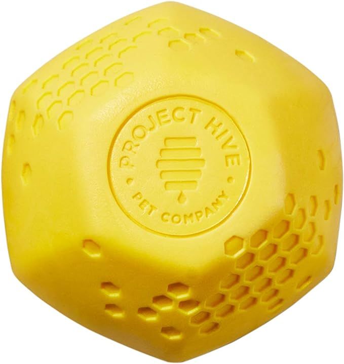 Hive Ball Dog Toy