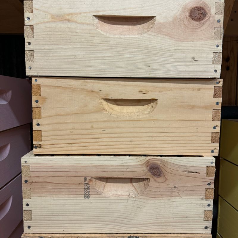 Pine Medium Super Natural Wood 10 frame (No Frames)