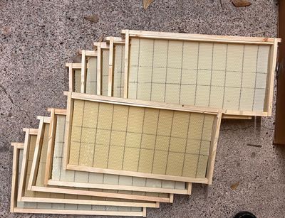 Frames, Foundations, and Beeswax