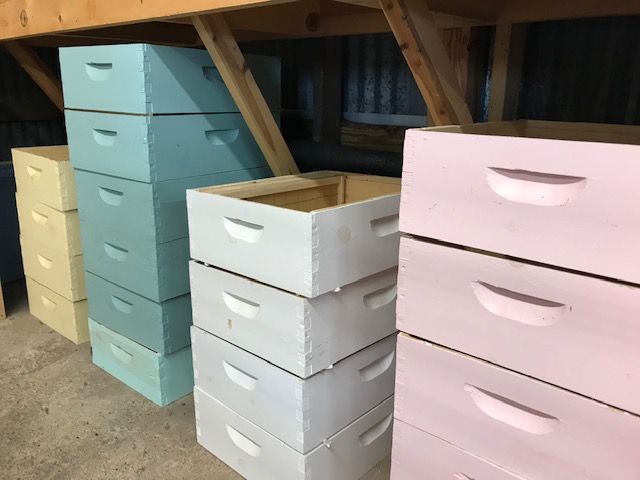 Pine Medium Super Painted 10 frame (No Frames)