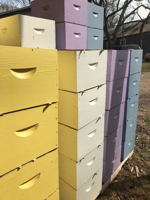 Hive Bodies and Components