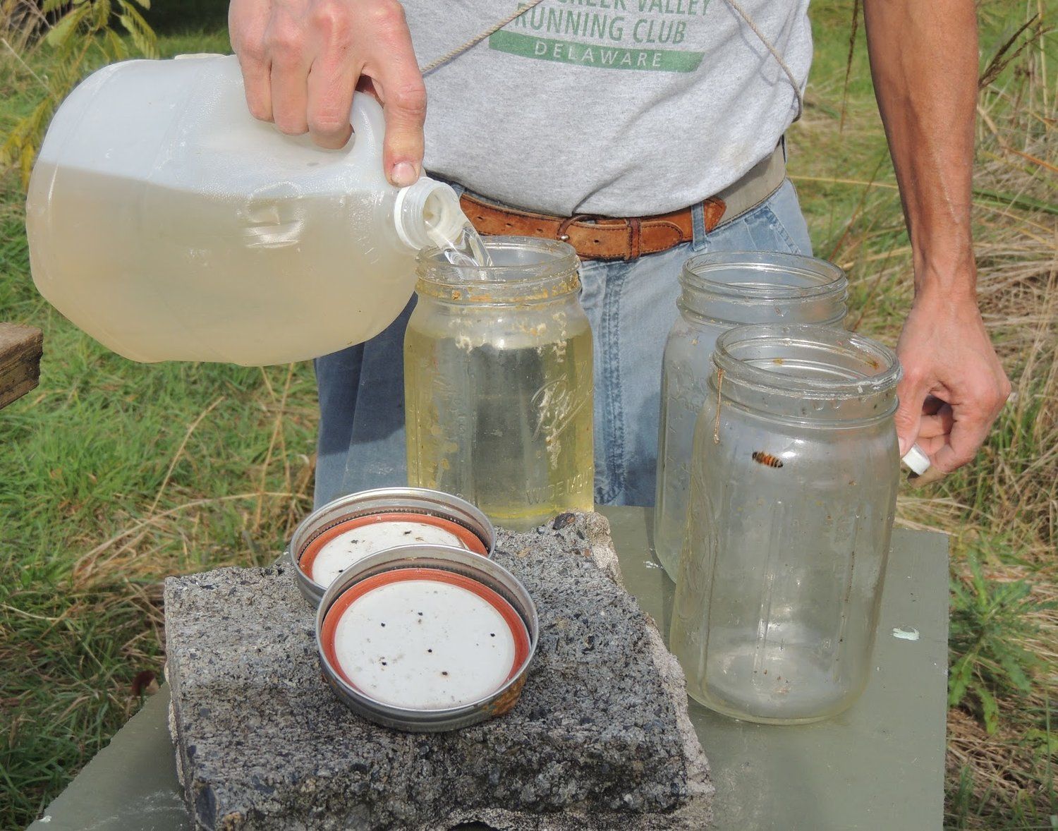 Bee Syrup 5 Gallons With Bucket