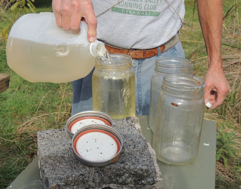 Bee Syrup 1 Gallon With Jug