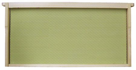 Deep Frame w/ Plastic Foundation