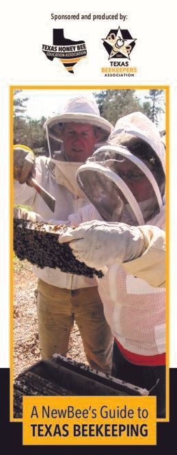 A NewBee's Guide to TEXAS BEEKEEPING