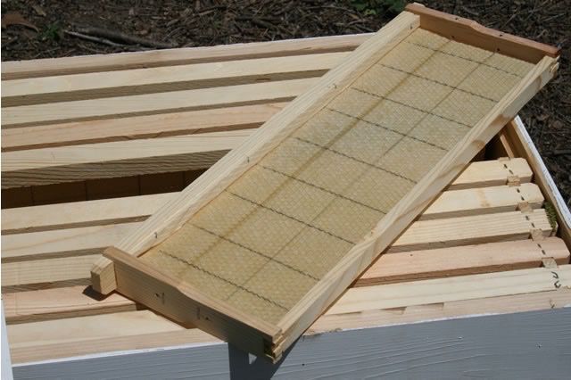 Medium Frame w/ Beeswax Foundation