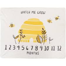 Milestone Baby Blanket Skep