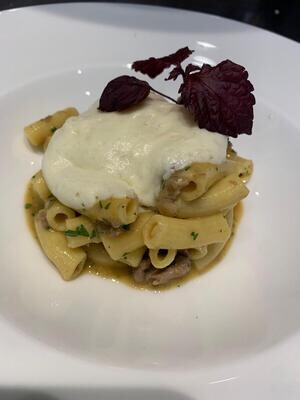 Maccheroncini di grano Kamut, ragù d’anatra, funghi porcini e spuma al Parmiggiano