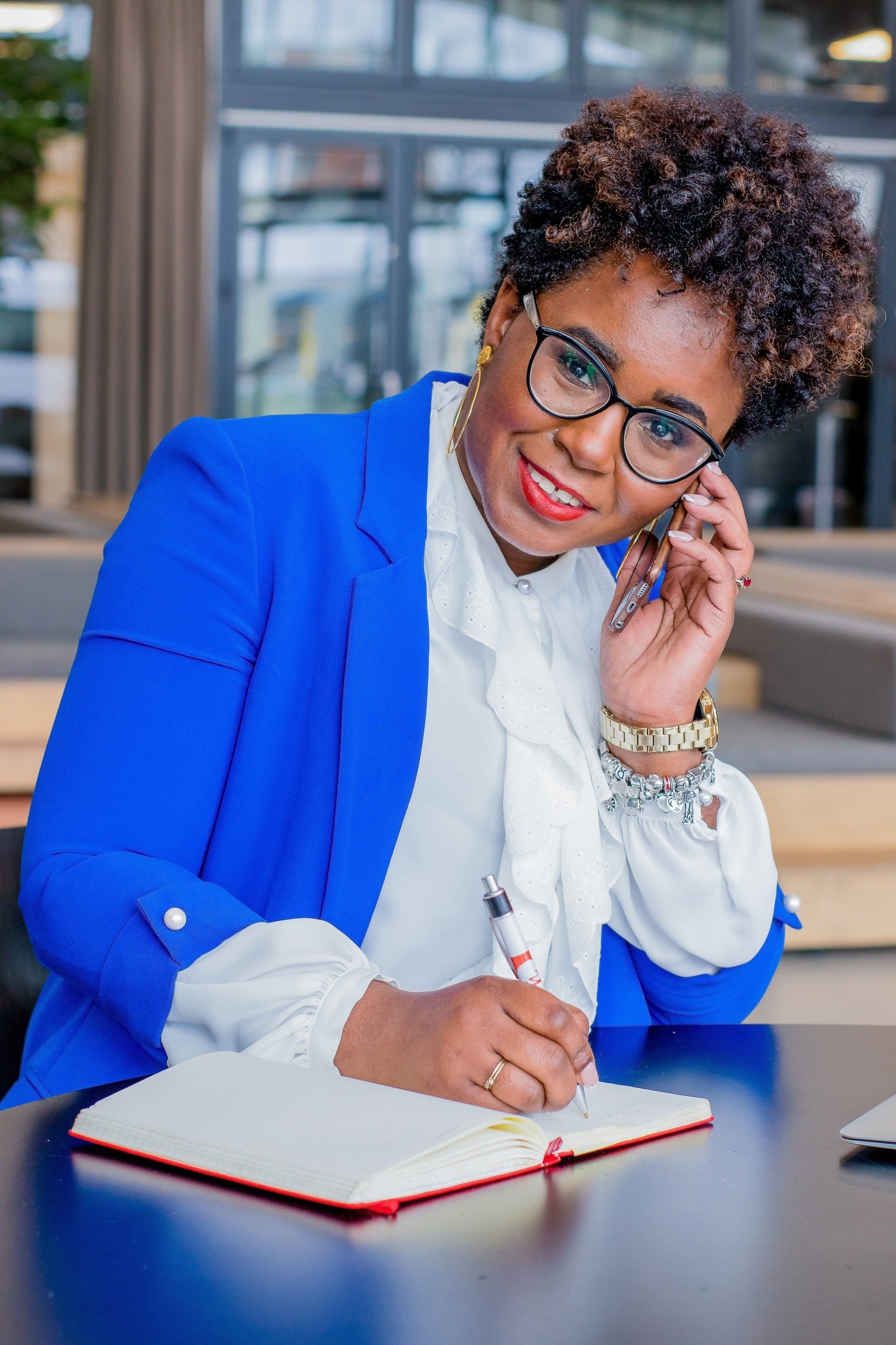 Mindset Expert Reflexion Series