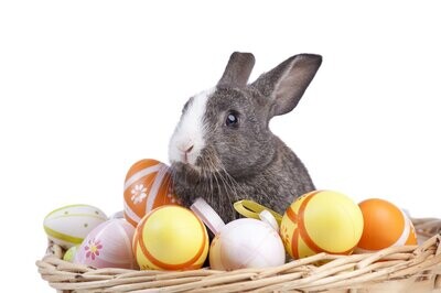 Ostern
