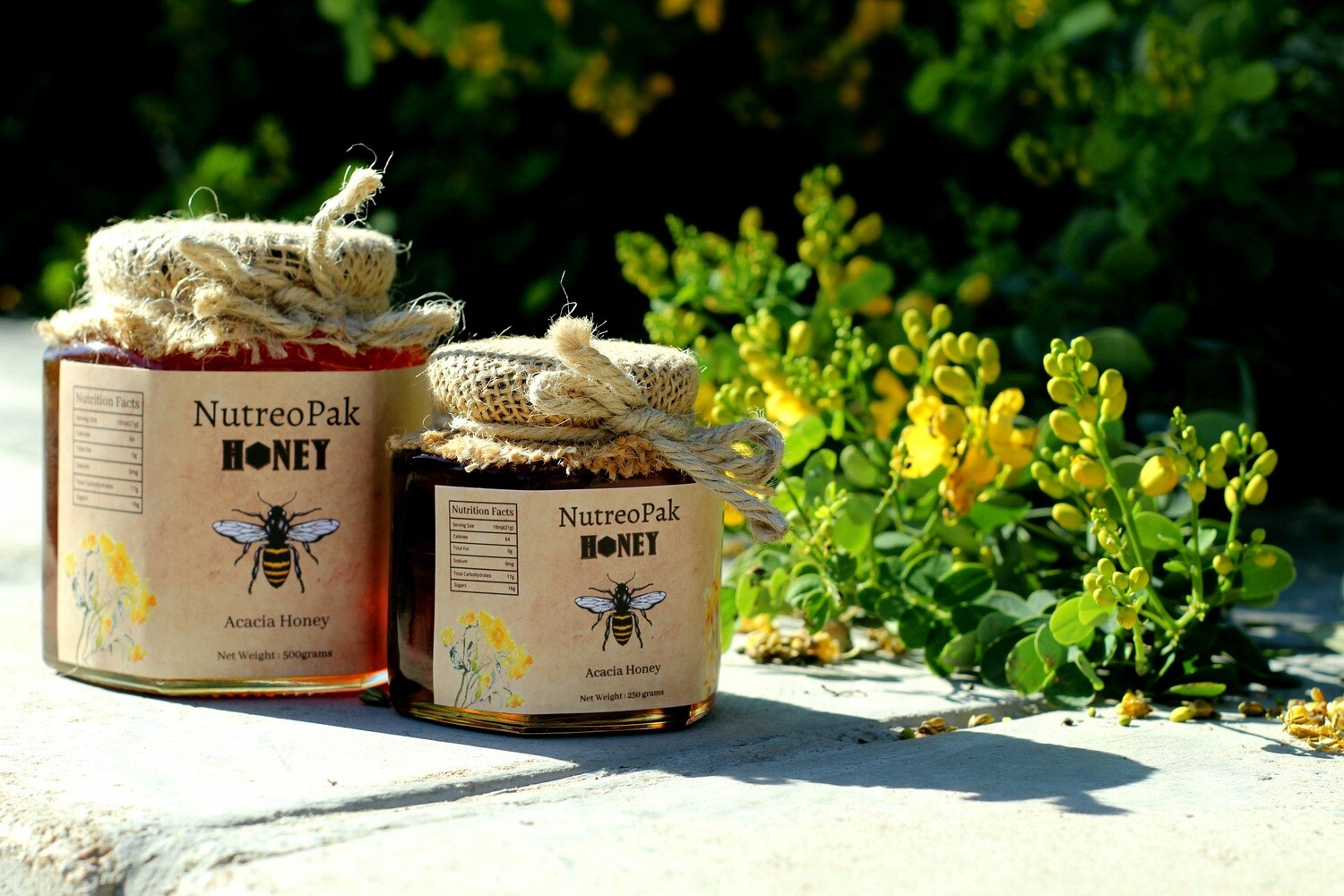 Acacia Honey (250g)