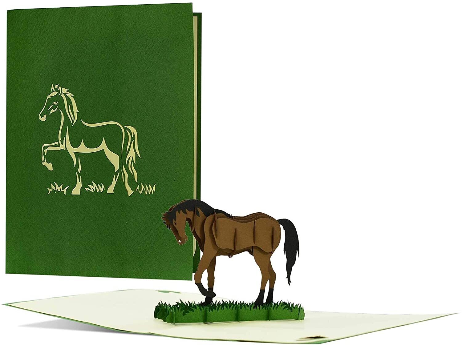 3D Pop up Karte Edle Geburtstagskarte mit 3D Pop-up Pferd|Gutschein oder  Geschenk für Reiter und Pferdeliebhaber