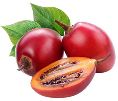 imagen de tomates de árbol