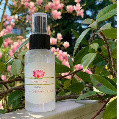 Klassenspray Be Happy