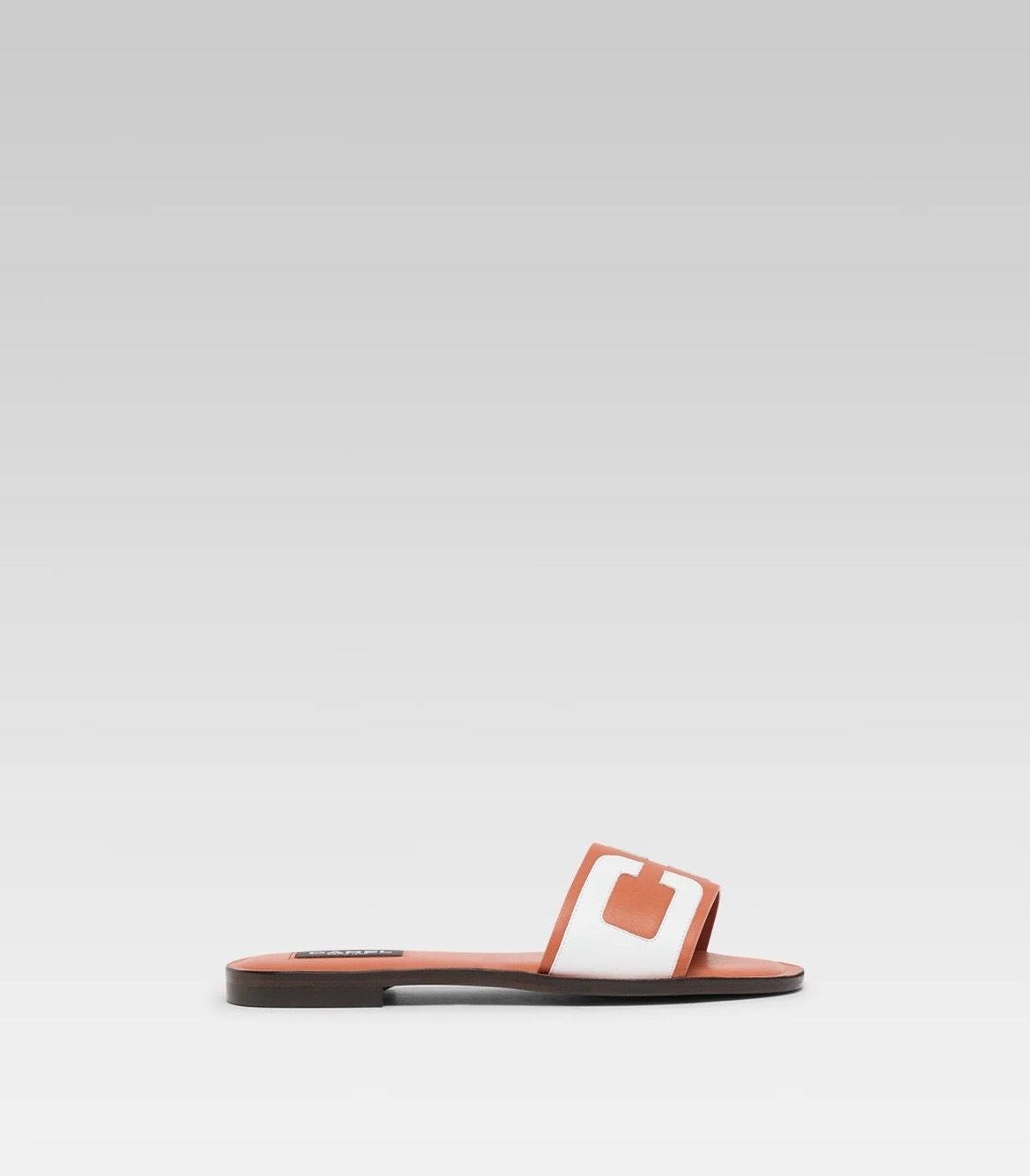 CHAUSSURES BRASILIA CAREL 