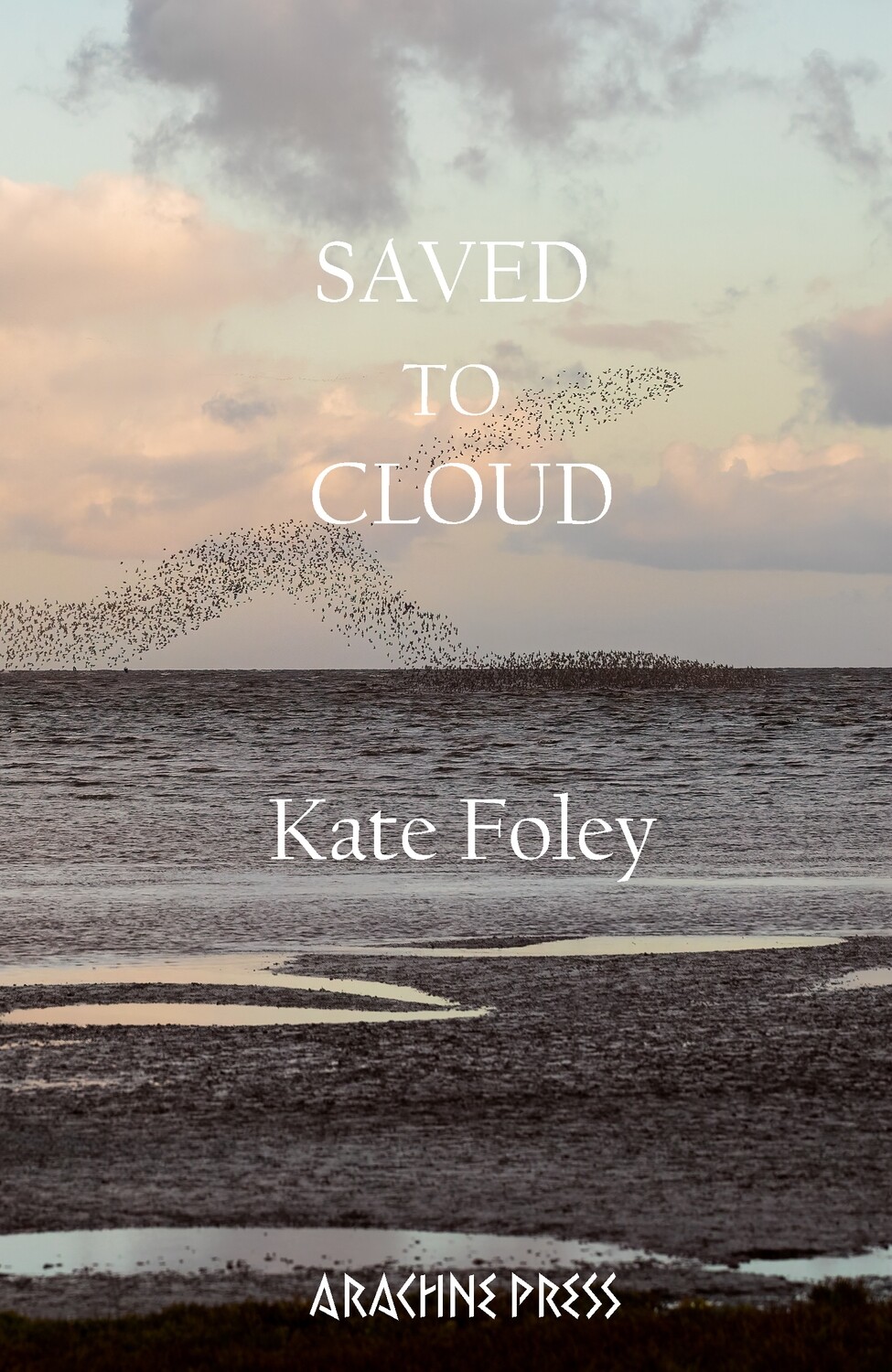 Saved to Cloud by Kate Foley