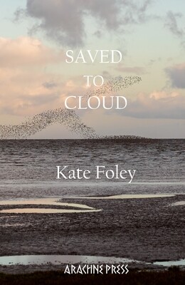 Saved to Cloud by Kate Foley